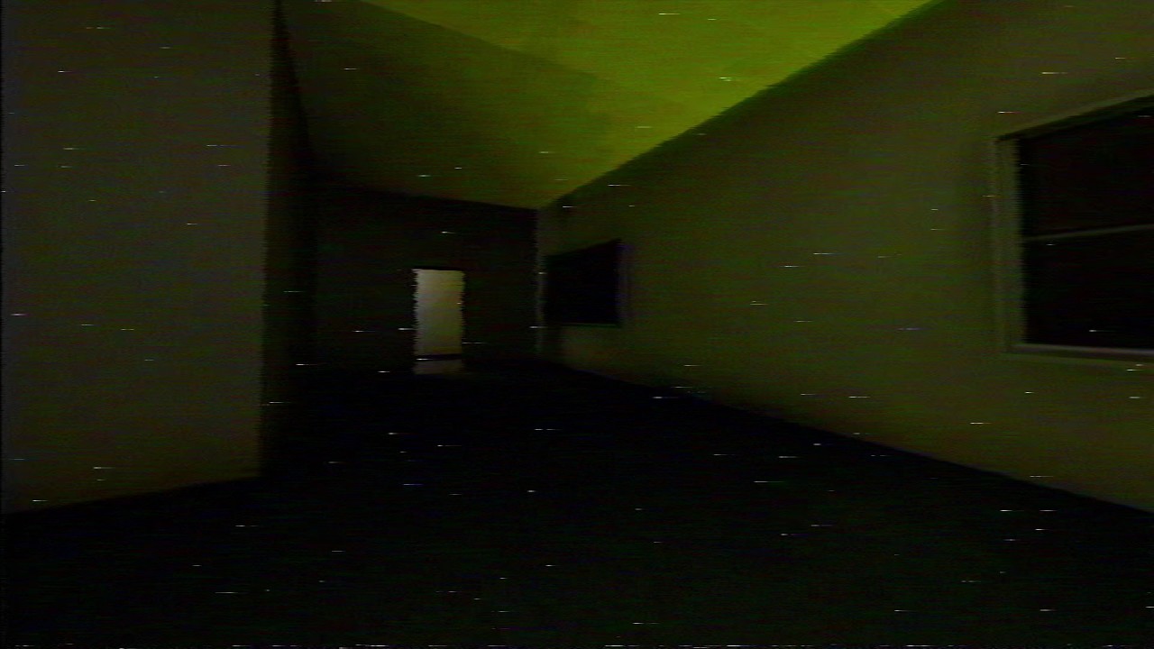 (Music Video) Goose Loop - Fewer Dreams | Ambient Jungle