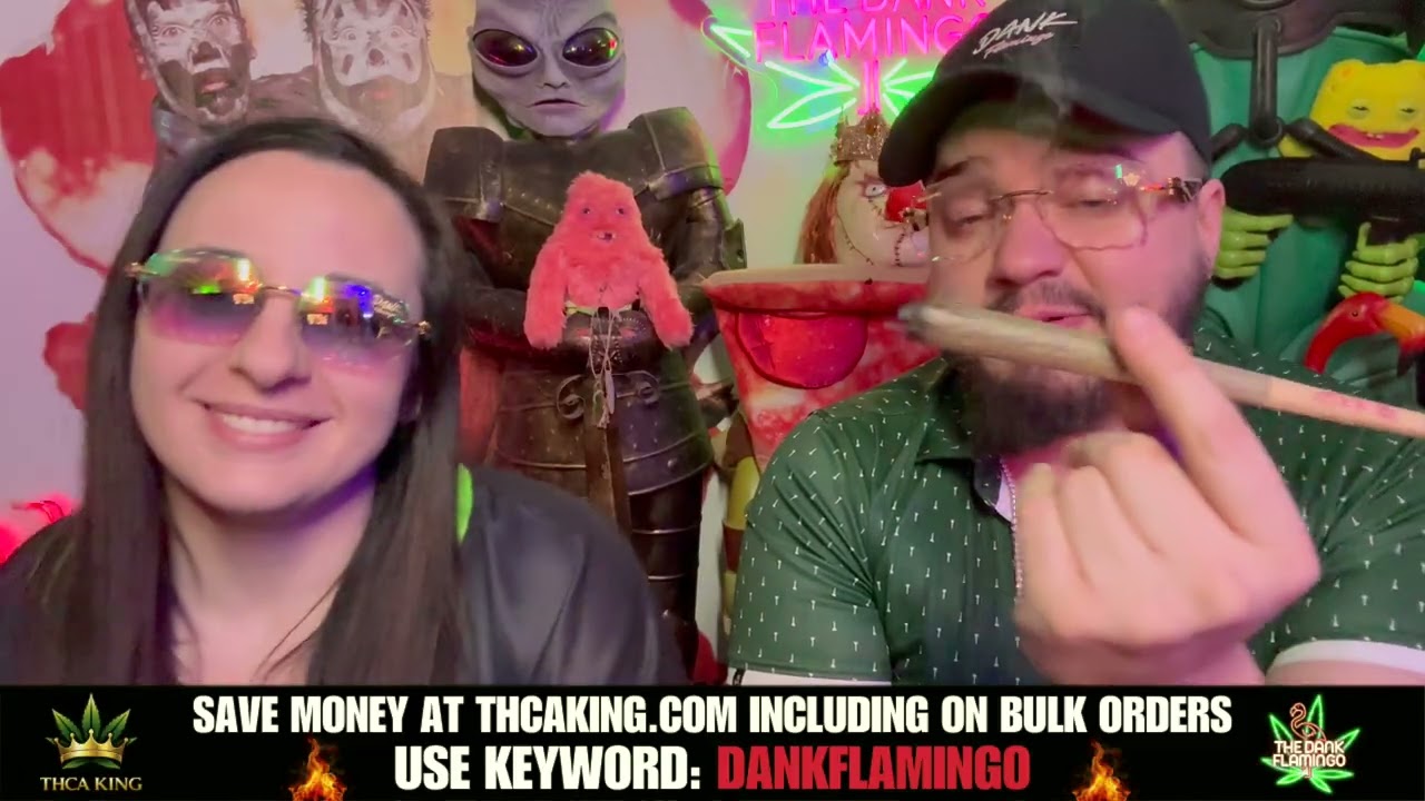 Bulk Wholesale Greenhouse Dank Burger $200 QP from THCA King! Dankin with the Flamingos Review!!