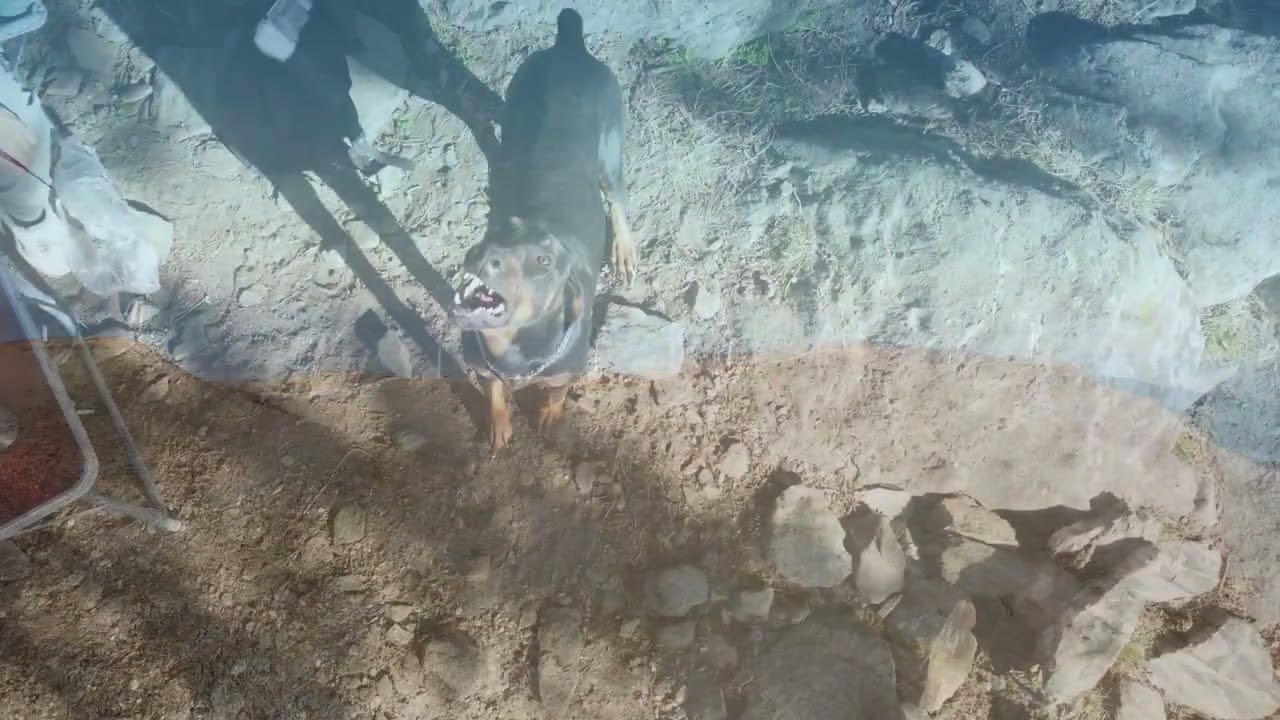 Muhteşem Doğa (Ultra HD) Drone Çekimleri, Cinematic Short Film