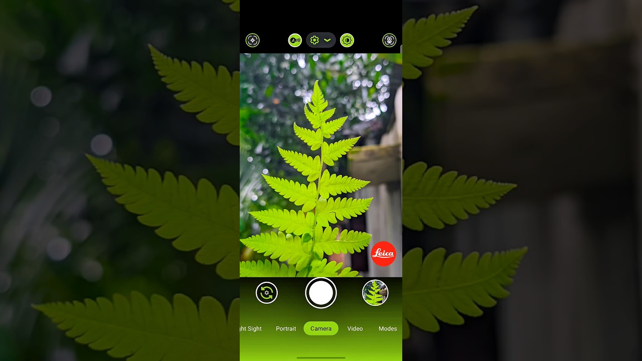 Top LMC 8.4 Config Files for Perfect Portrait Shots