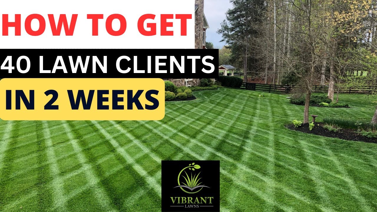 HOW I GOT 40 LAWN CUSTOMERS IN 2 WEEKS #lawncare #lawncarebusiness #mower