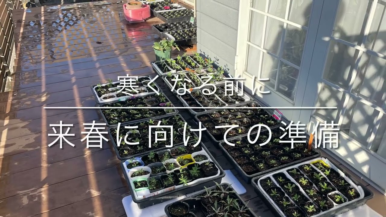 【私の庭】冬が来る前に来春に向けての今庭