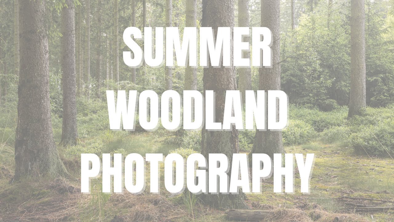 SUMMER woodland photography!