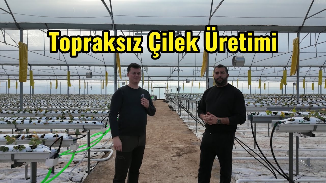 Topraksız Çilek Serası Kurulumu | Bitmiş Hali (2. Video