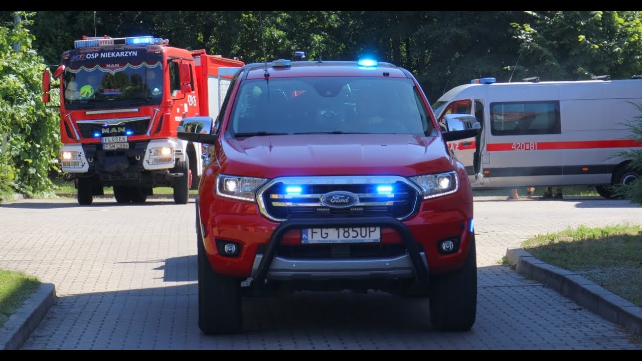 [WYJAZD ALARMOWY KOMPANI] 8 zastępów Straży Pożarnej do pożaru lasu - WOO Świebodzin