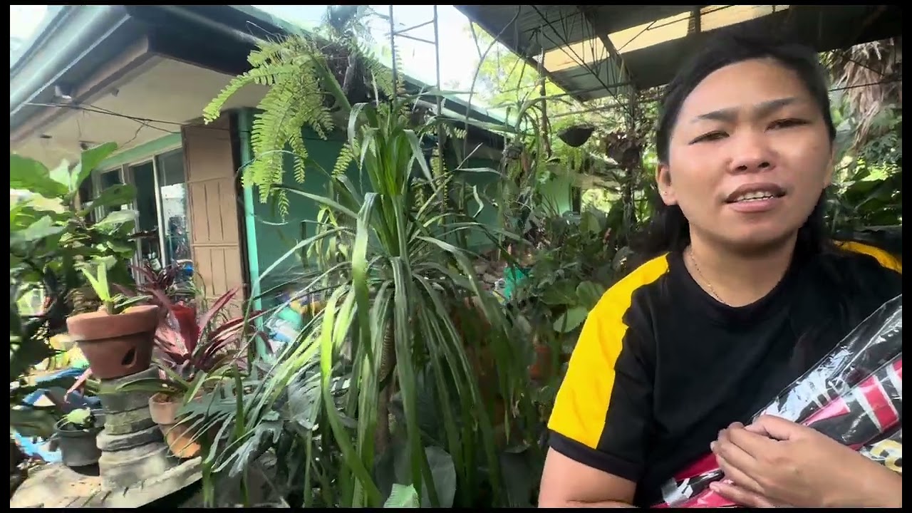 Ang lihim na Hardin ni Carinas