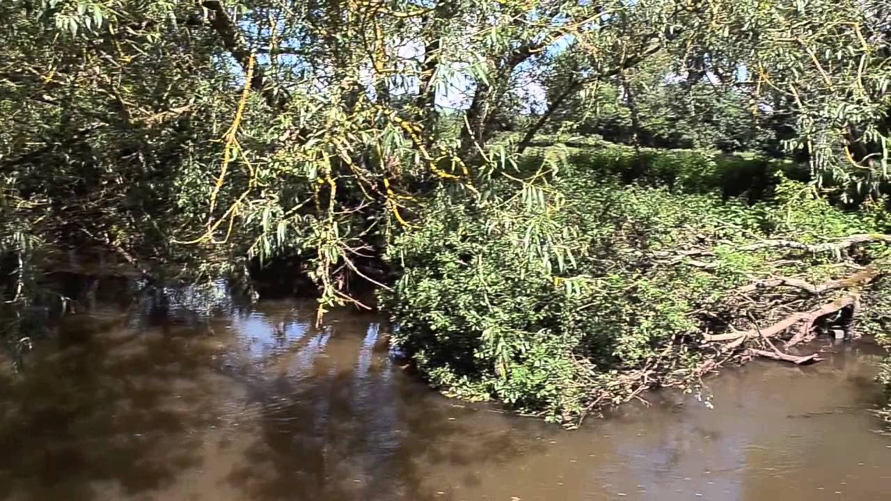 RIVER CULM, KILLERTON ESTATE, SILVERTON, EXETER, DEVON