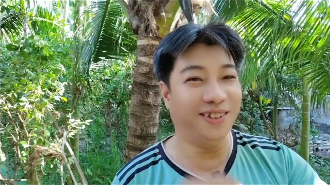 Tâp 084 :  Năm mới kính chúc cả nhà Hạnh phúc - Bình An phát tài phát lộc 