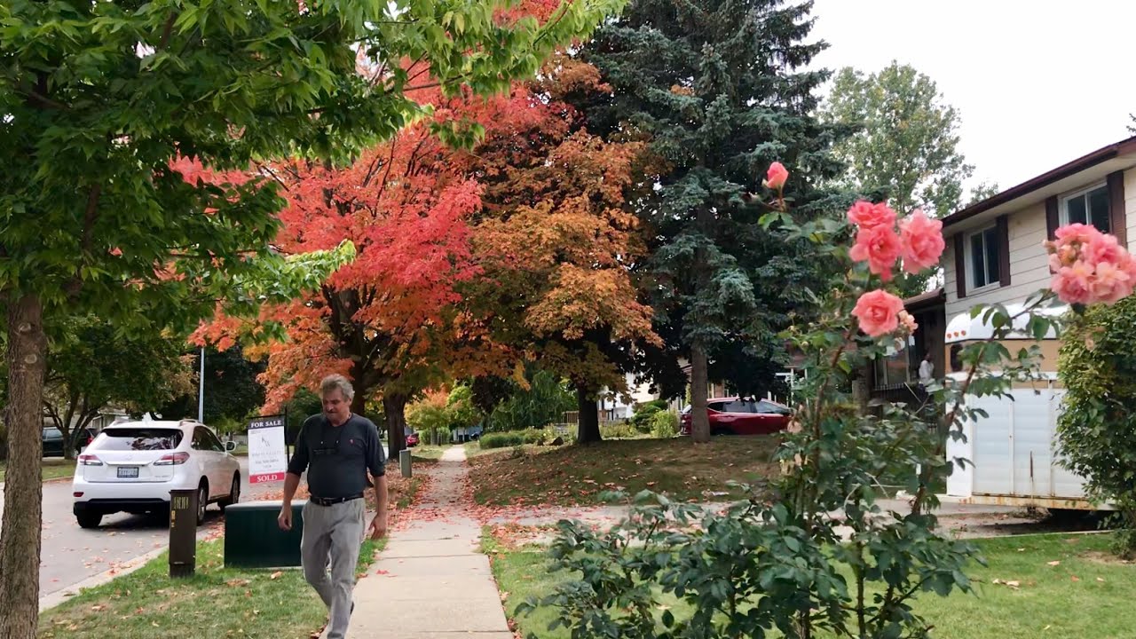 Mất Ăn Mất Ngủ Chuyện Mua Nhà Ở Canada