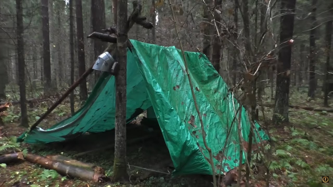 В ЛЕСУ НАШЕЛ СТРАННЫЙ СХРОН!