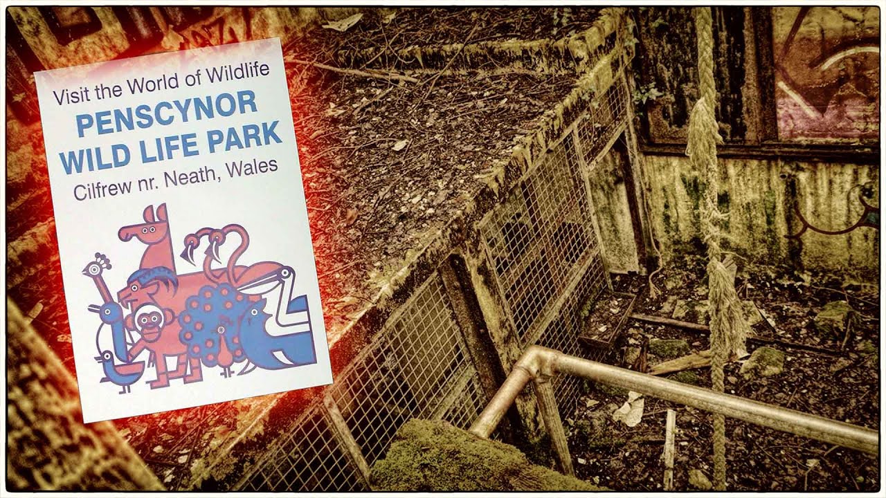 THE ABANDONED ZOO, Penscynor Wildlife Park - URBEX