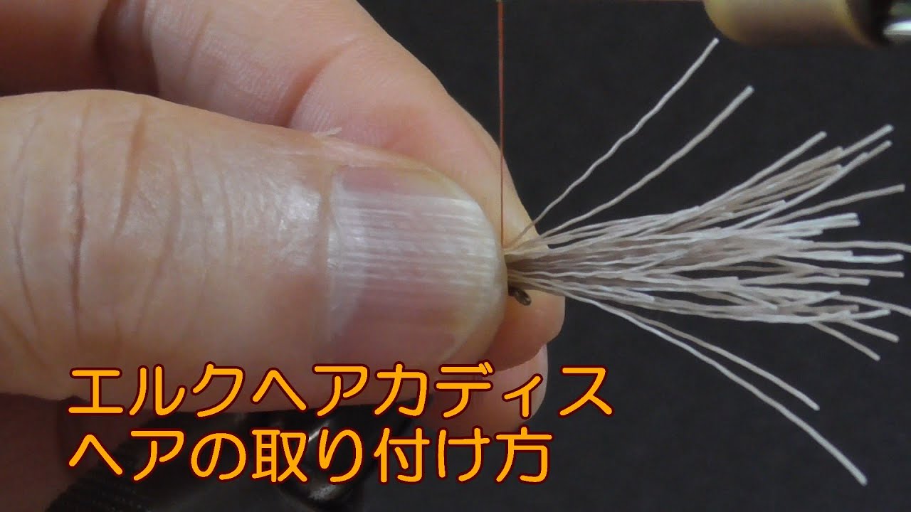 エルクヘアカディス。ヘアの取り付け方｜フライの巻き方