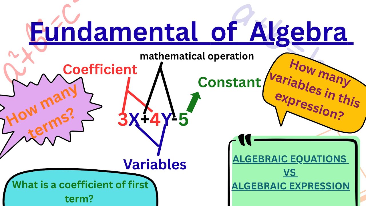 Basic algebra,what is algebraic expression and equation,terms variables,constant and coefficient