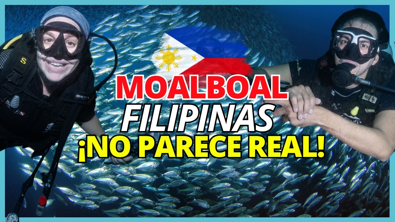 MOALBOAL: El SECRETO de Filipinas en CEBU🌊 Qué Hacer + Kawasan Falls