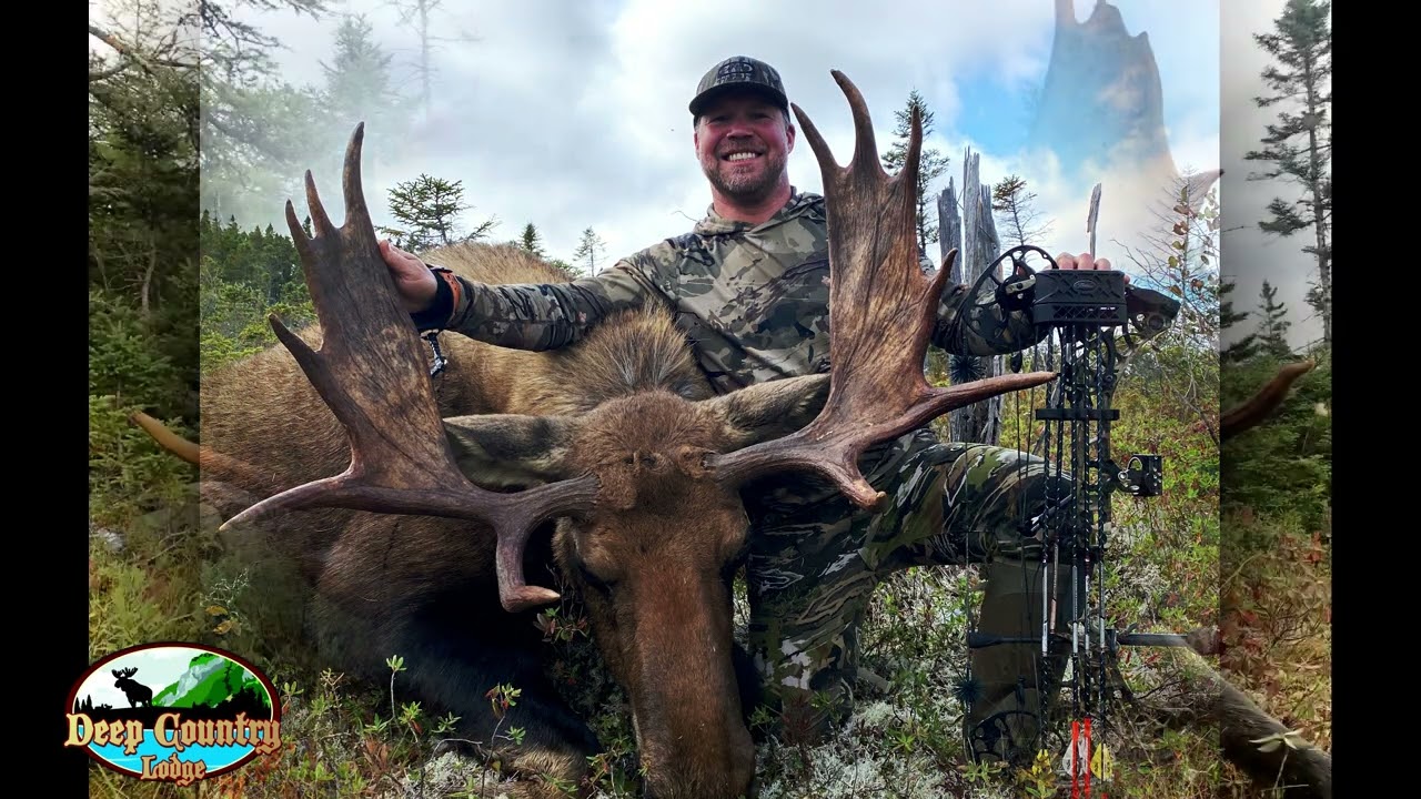 2024 Highlights - Eastern Canadian Moose & Black Bear | Deep Country Lodge