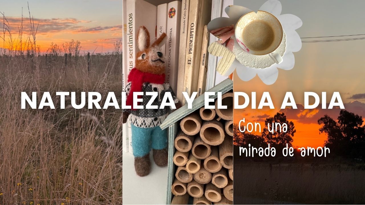 Naturaleza y el día a día, con una mirada de Amor  ☀️