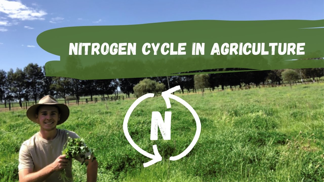 The Nitrogen Cycle In Agriculture