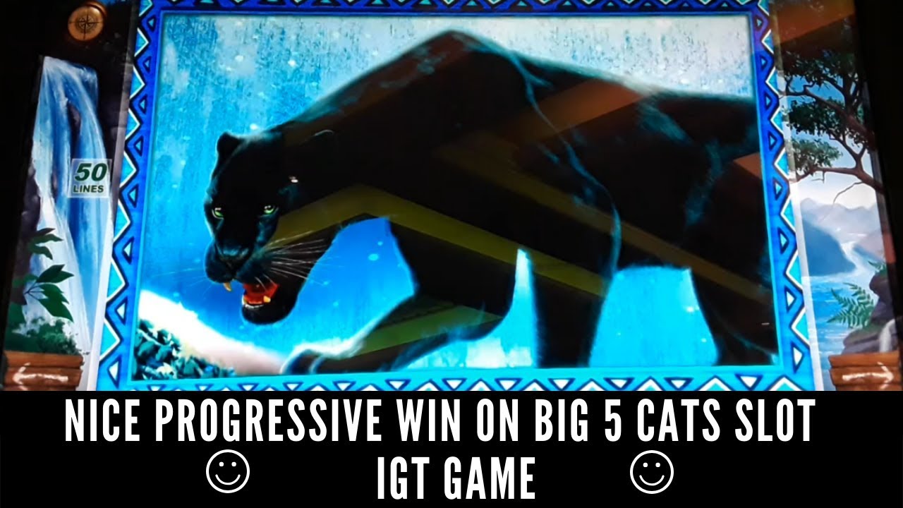 NICE PROGRESSIVE WIN ON BIG 5 CATS SLOT MACHINE - IGT GAME - SunFlower Slots