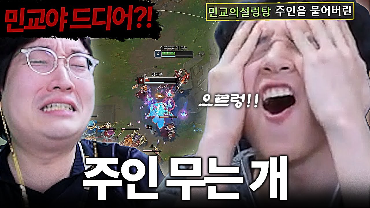 미드에서 주인님을 처음으로 물어버린 김민교