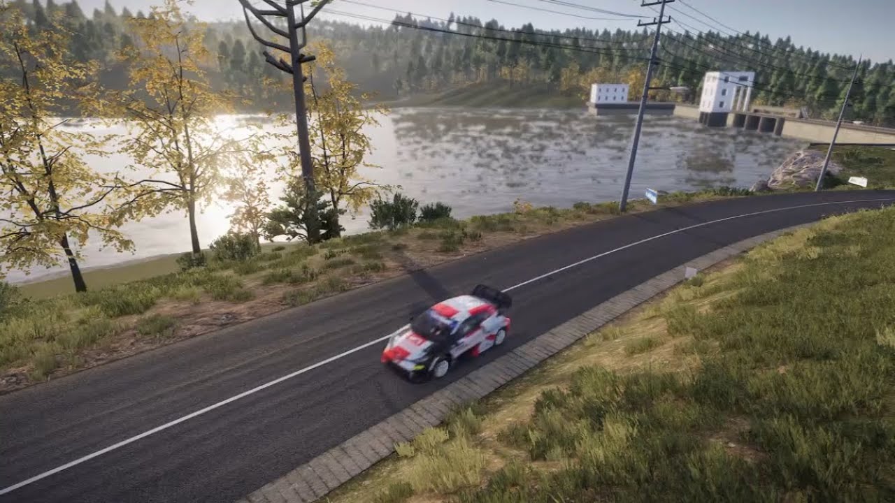 【ドライバー視点】WRCG Rally Japan 岡崎SS 