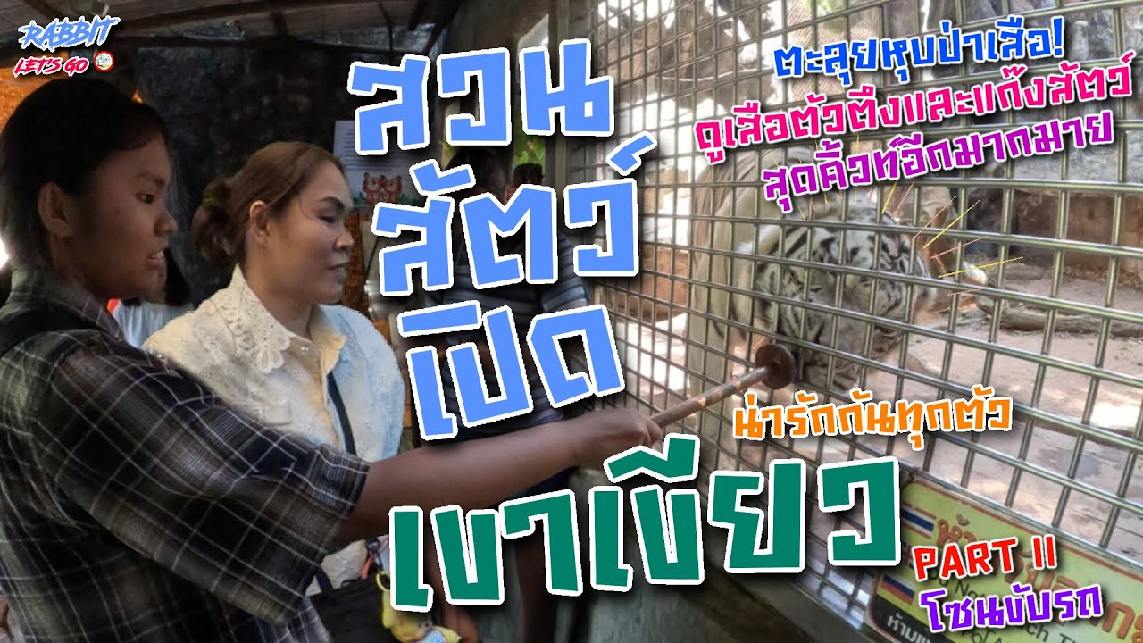สวนสัตว์เปิดเขาเขียว part 2 โซนขับรถ I ตะลุยหุบป่าเสือ! ดูเสือตัวตึงและแก๊งสัตว์สุดคิ้วท์อีกมากมาย🐯💖