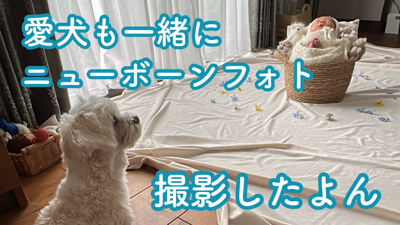 愛犬も一緒にニューボーンフォト撮影しました🐶🐾
