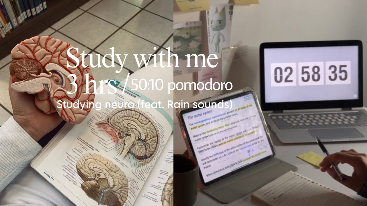 3 hours study with me || ادرس معي، طالبة طب ⋆. 𐙚 ˚
