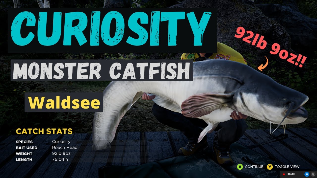 "Curiosity" the 92lb Catfish in Waldsee - Fishing Sim World Pro Tour 2020
