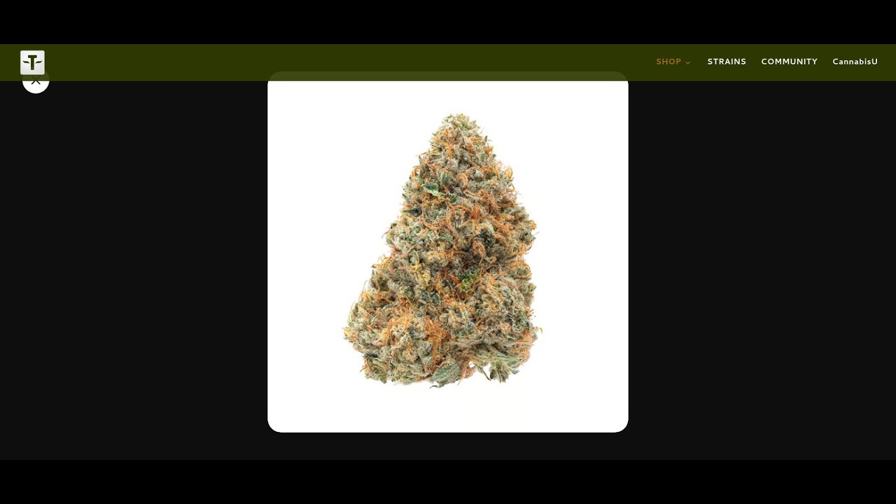 biker kush strain review