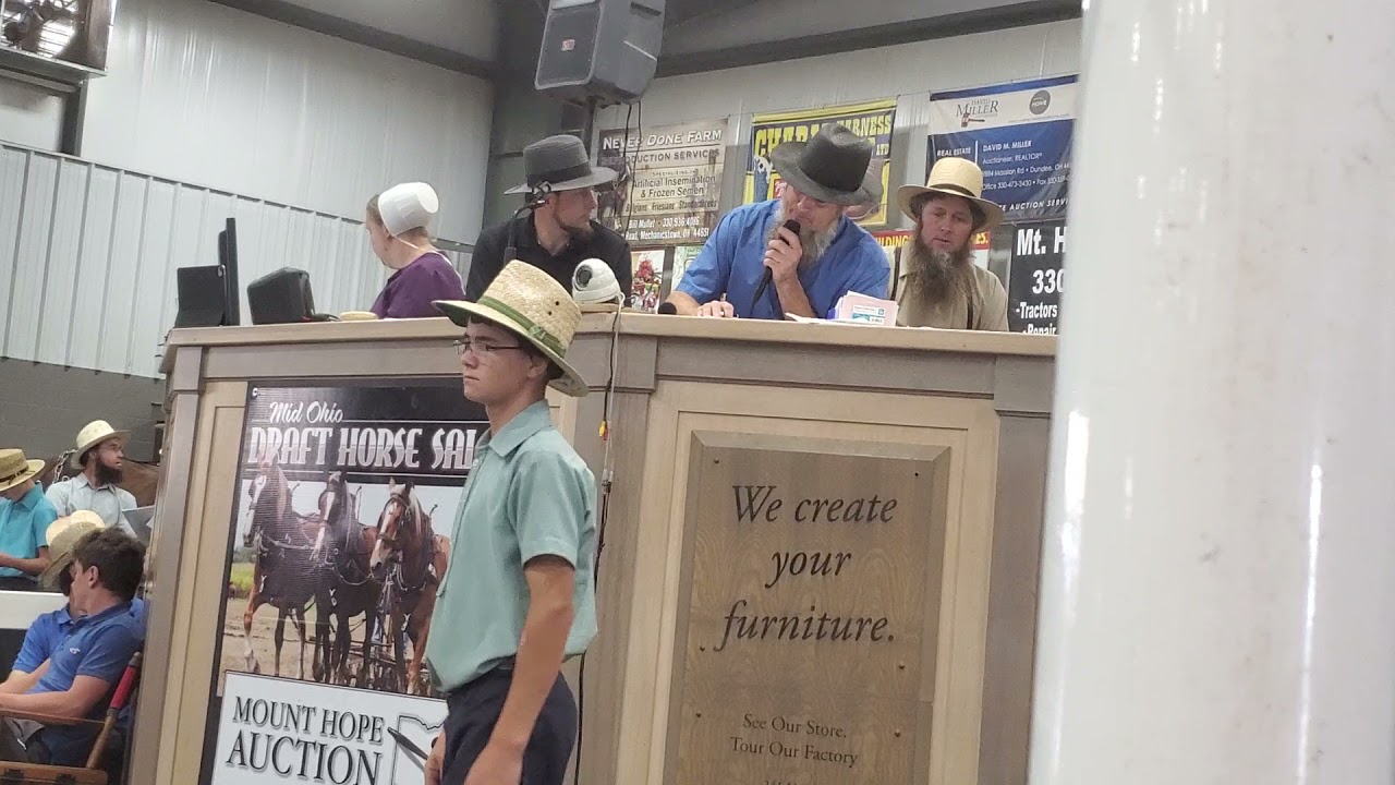 An Amish auctioneer