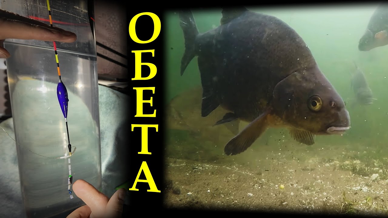 АЗИ ХЕРАБУНИ. 4 - Обета - найчутливіша з донних оснасток #herabuna  #tanago #floating #タナゴ  #ヘラブナ