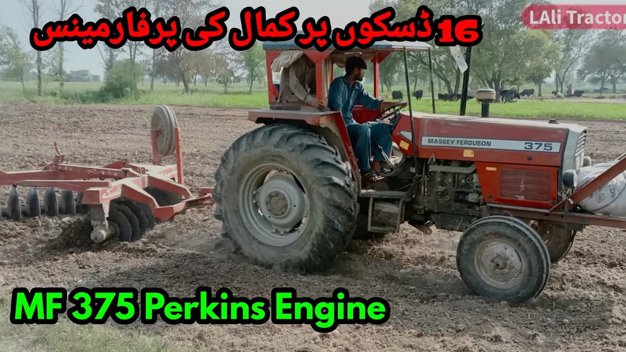 MF 375 Old model Perkins Engine performance on 16 Disk Harrow fully open | Great performance