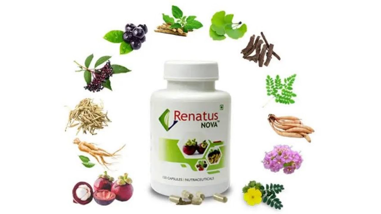 NEW RENATUS NOVA Herbal Dietary Supplement 12 Ingredients | Renatus Nova updated Product  in Hindi