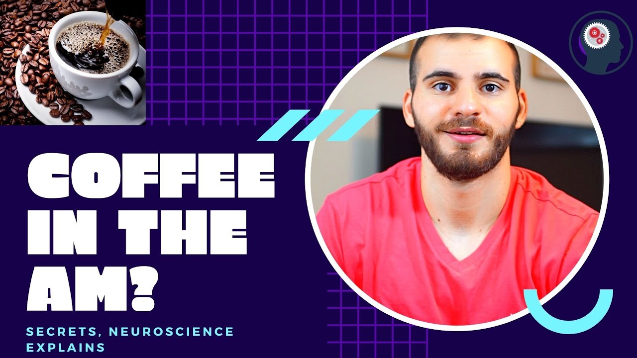 Neuroscience Explains For Best Coffee Time |  Coffee schedule For Beginners.