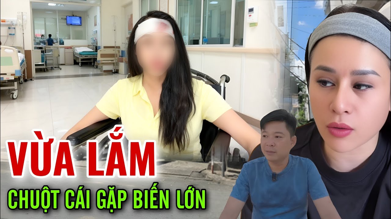 Nóng Nóng | Lời Thề Của Chuột Cái Đã Thành Sự Thật, Chuột Cái Có Biến Lớn 