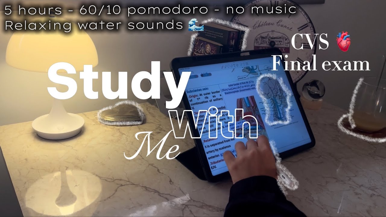 5-HR STUDY WITH ME for my final exam 🫀🩺 | 60/10 pomodoro - no music