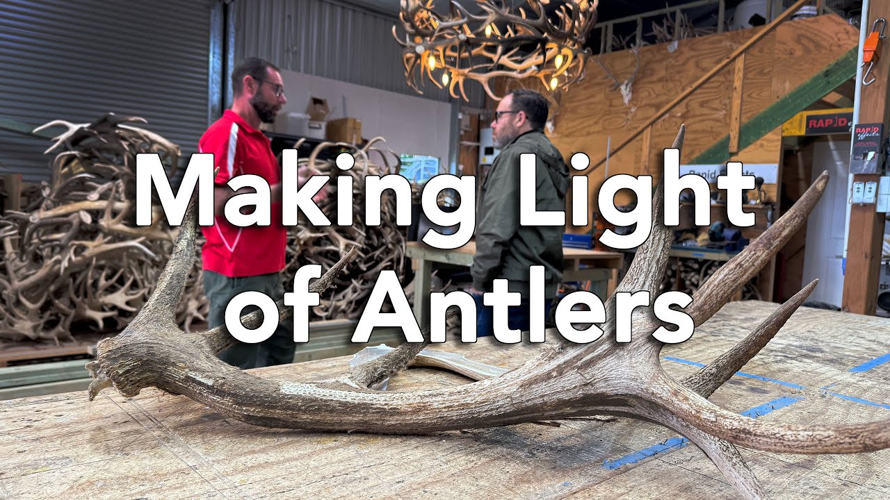 Making Light of Antlers - Interior Design & Styling