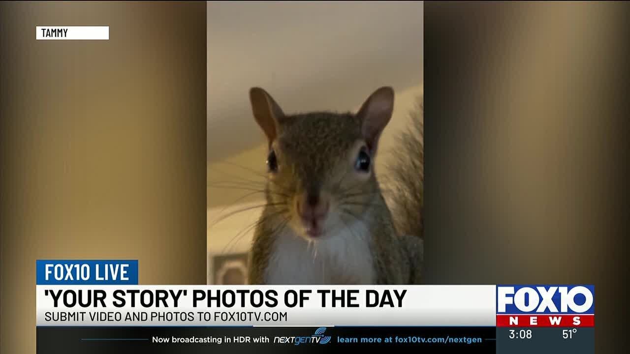 Nicholas and Ashlyn take a look at ‘Your Story’ photos of the day