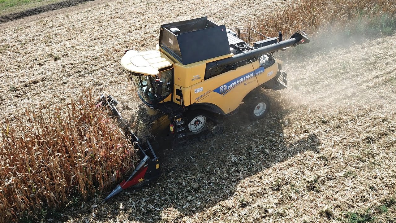 New Holland CR 8.80 Revelation & Dominoni 8 file | Trebbiatura mais 2020