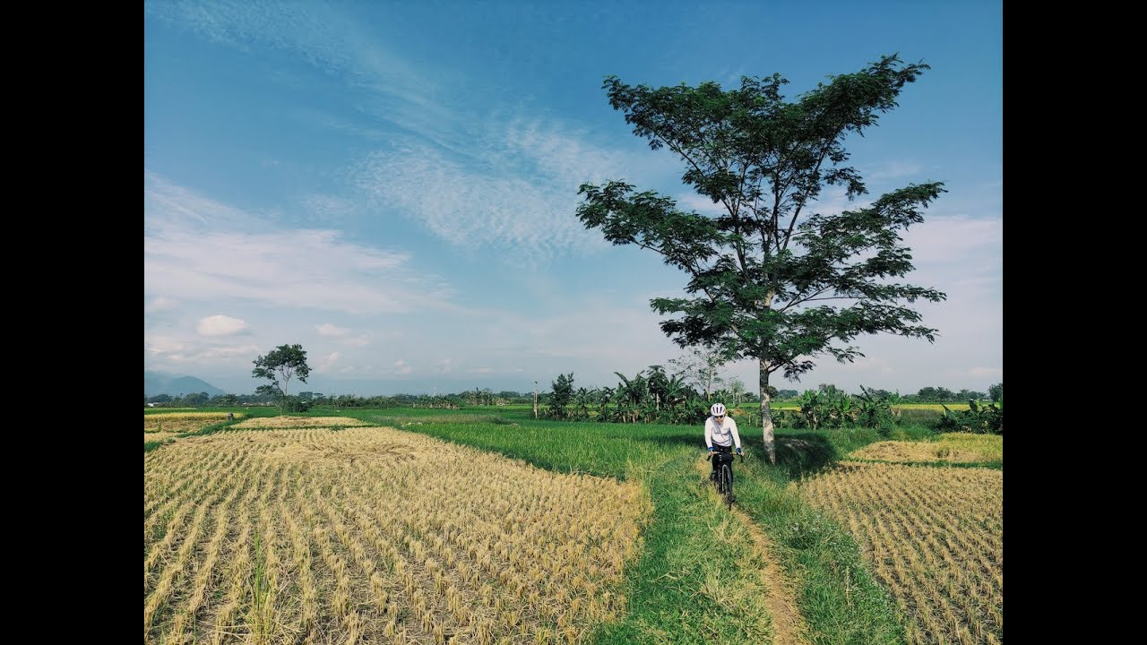 Explore 