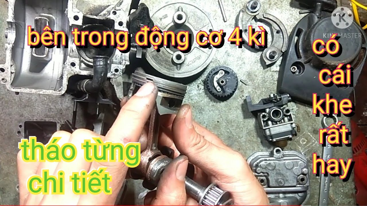 Cách tháo bổ máy cắt cỏ Honda, tháo để sửa máy cắt cỏ Honda. Disassemble Honda gx35 lawn mower.