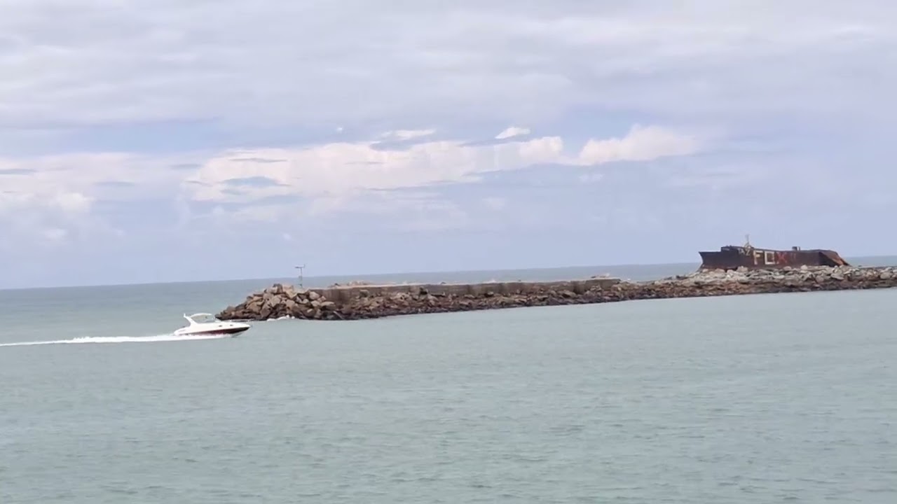 GOLFINHOS APARECEM NO MARINA PARK HOTEL EM FORTALEZA CE 