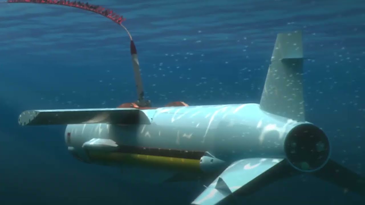 The Dolphin&rsquo;s Sonar