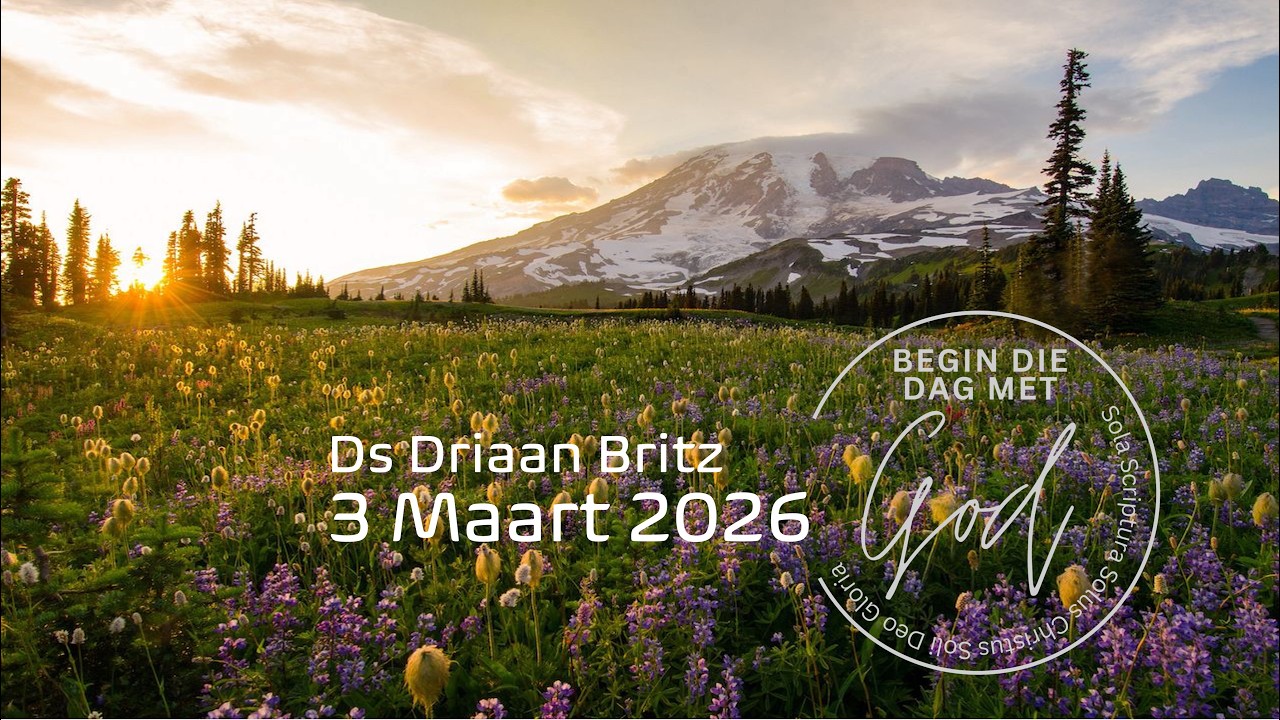 2026-03-03 Klein dingetjies