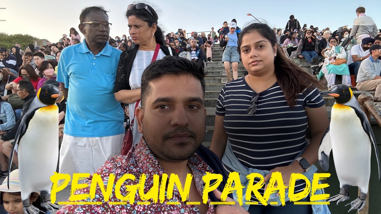 🐧 பென்க்வின் பாரேடு | Philip Island Penguin Parade Australia | Nadhira vlog tamil 