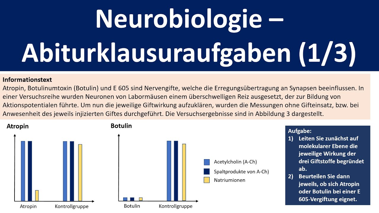 Neurobiologie - Abiturklausuraufgaben [Teil 1: Wirkung von Synapsengiften] - [Biologie, Oberstufe]