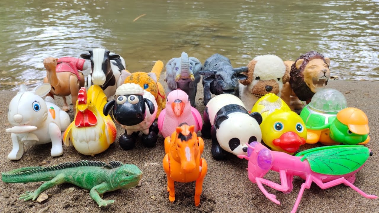 WOW Amazing ! Menemukan banyak mainan hewan sapi, panda, kuda, singa , ayam, kerbau, unta, gajah