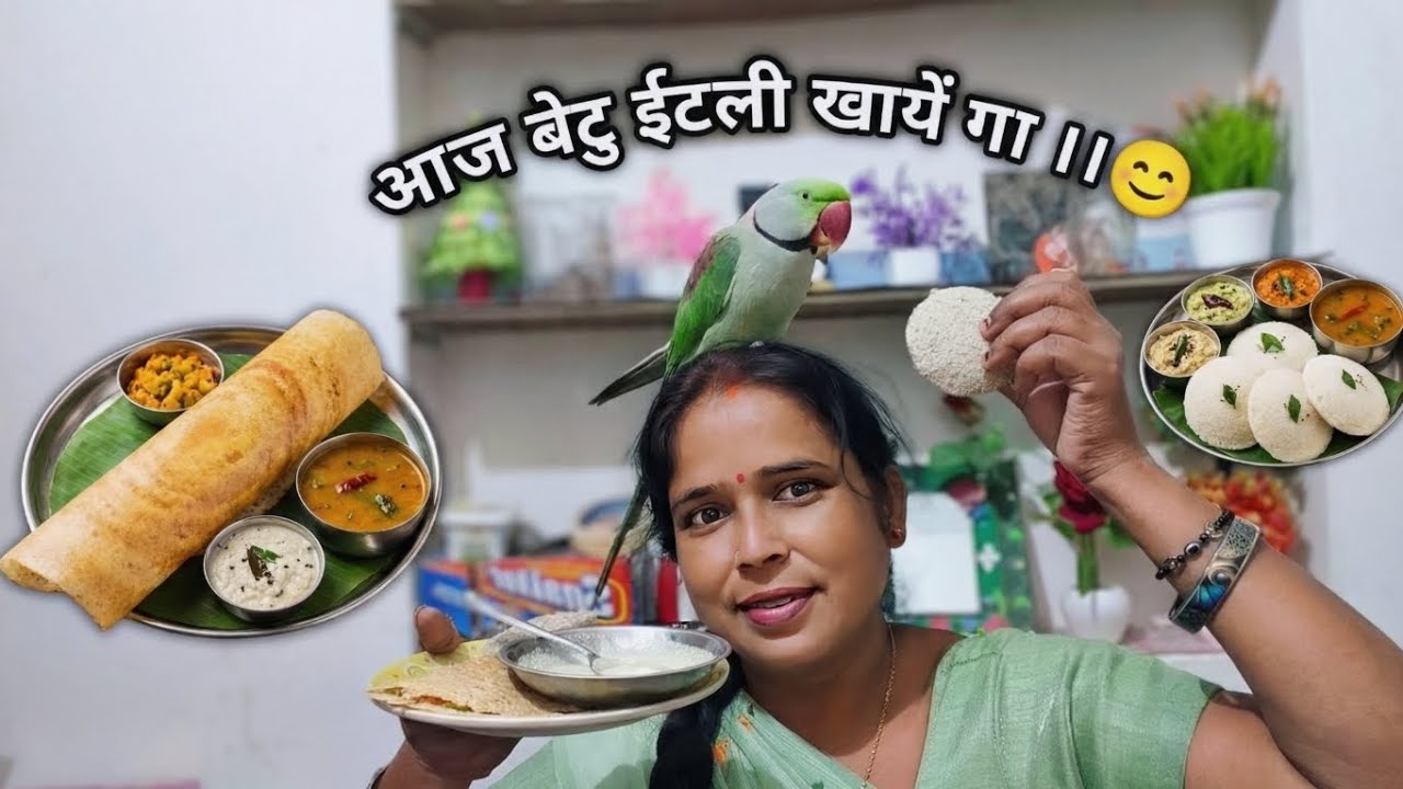 आज मेरा बेटू इटली और मसाला डोसा खाएगा 🦜🦜🥰