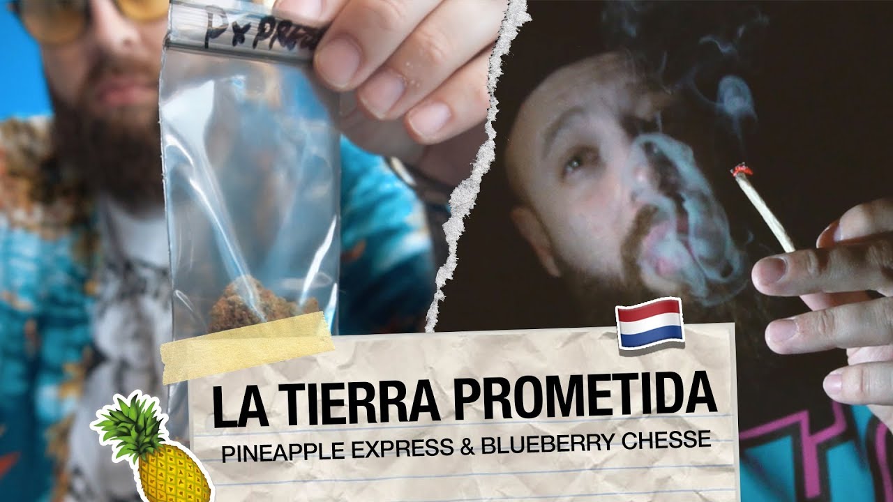 La Tierra Prometida 3 - PINEAPPLE EXPRESS & BLUEBERRY CHESSE