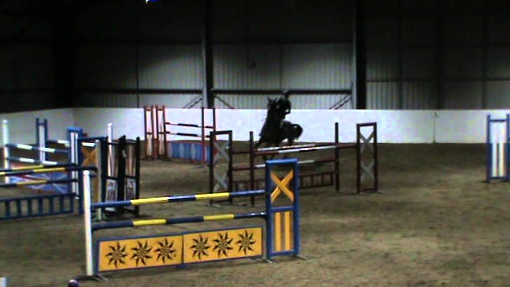 Tabitha Sleap and Zeitgeist M2S winning Blue Ribband